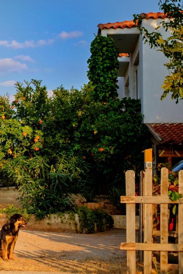 Vineyard Country House With Panoramic Seaview Alexandroupoli Exterior foto