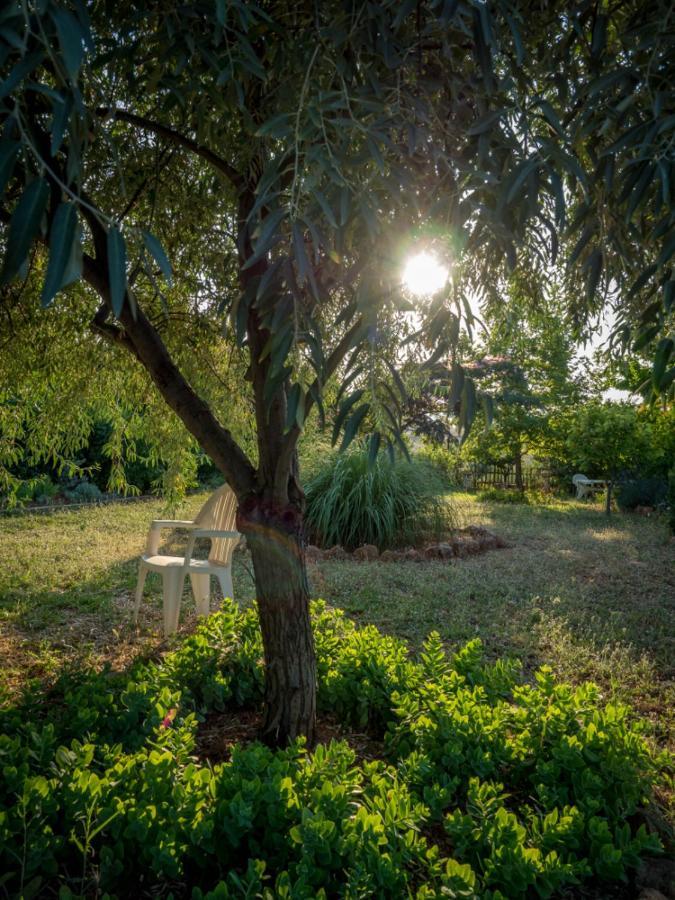 Vineyard Country House With Panoramic Seaview Alexandroupoli Exterior foto